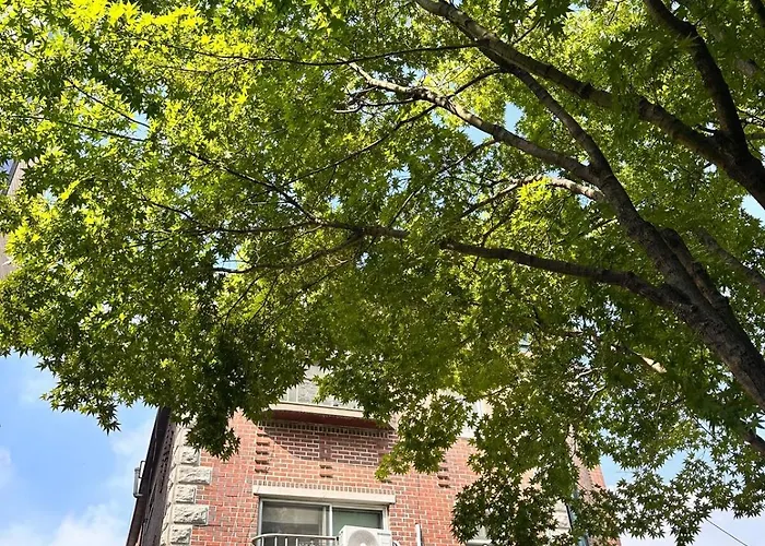 New Cozy Stay, 10 Min To Hongdae, Itaewon, 2 Min To Daeheung Stn, Park View 아파트 서울특별시